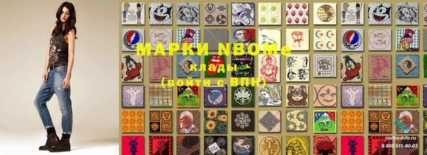 амф Пересвет
