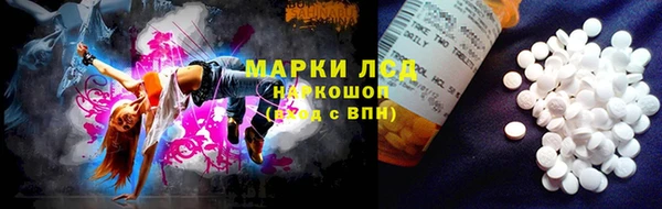 амф Пересвет