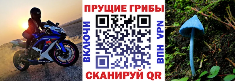Псилоцибиновые грибы GOLDEN TEACHER  Санкт-Петербург 