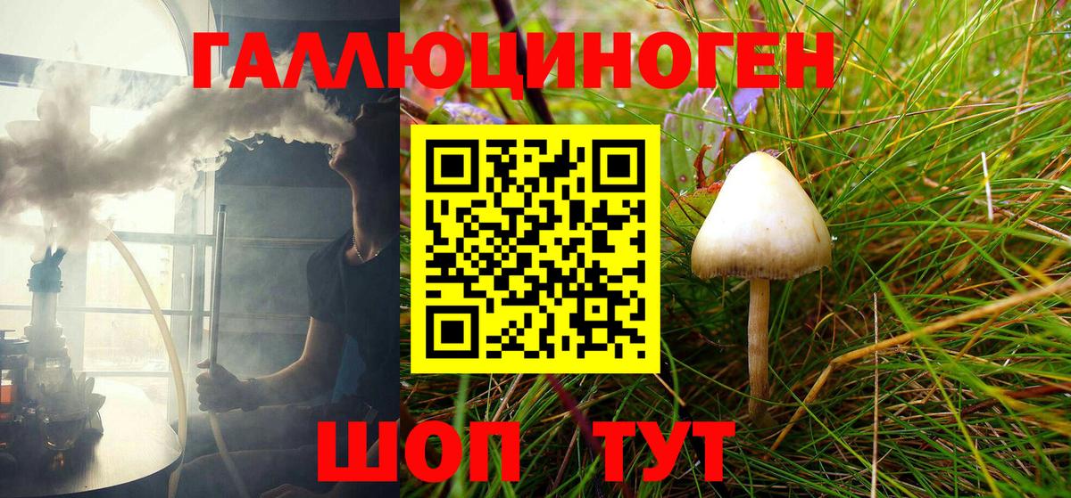 Галлюциногенные грибы Cubensis Санкт-Петербург