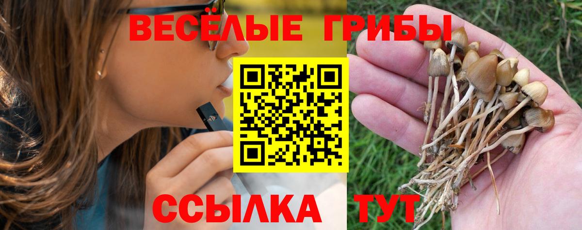 Псилоцибиновые грибы мухоморы  Галлюциногенные грибы Magic Shrooms  Санкт-Петербург  Вход с VPN 
